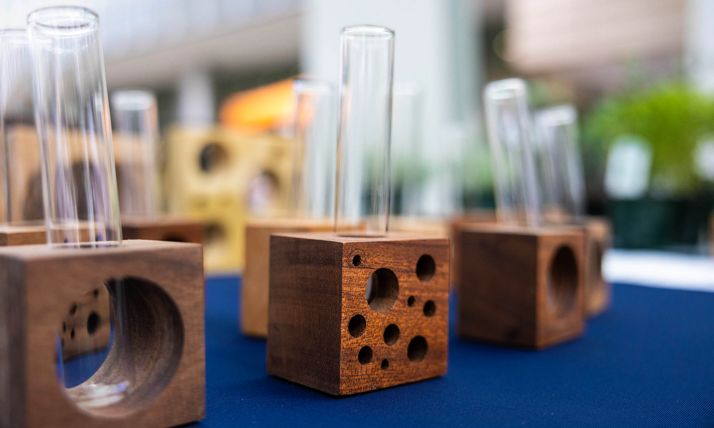 An array of wooden blocks with holes cut in them like Swiss cheese hold glass vials