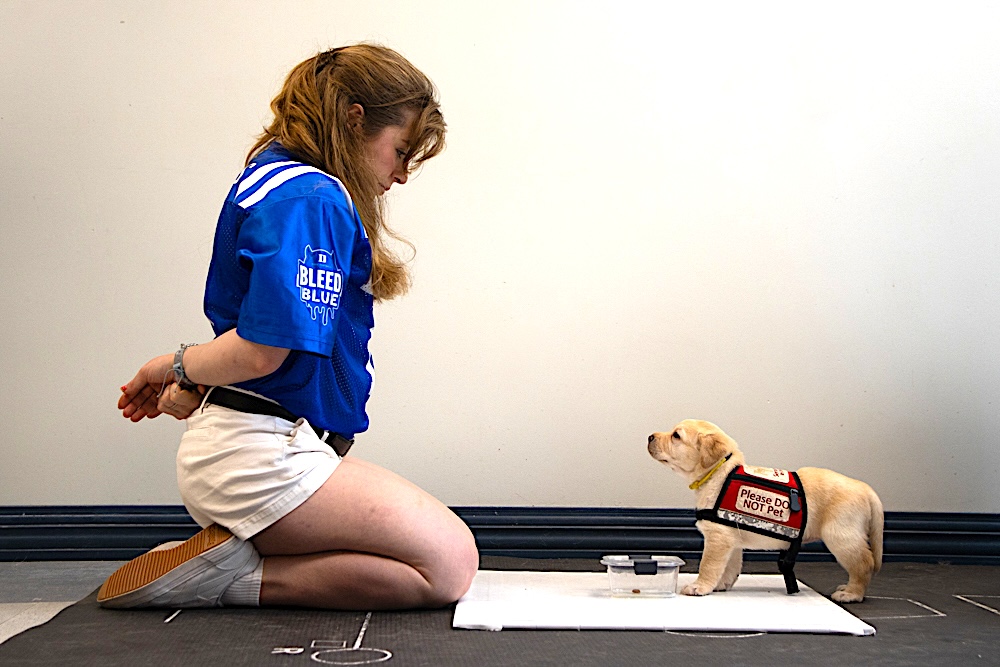 Young woman facing a puppy.