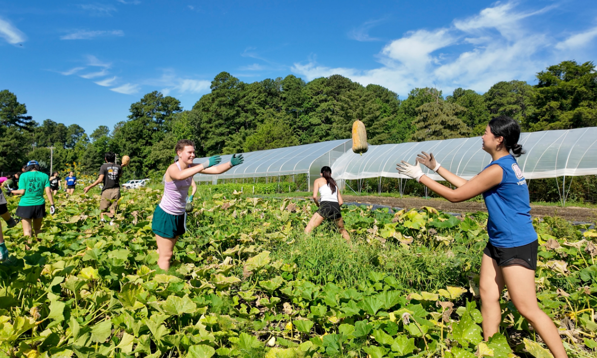 People working outside at a farm