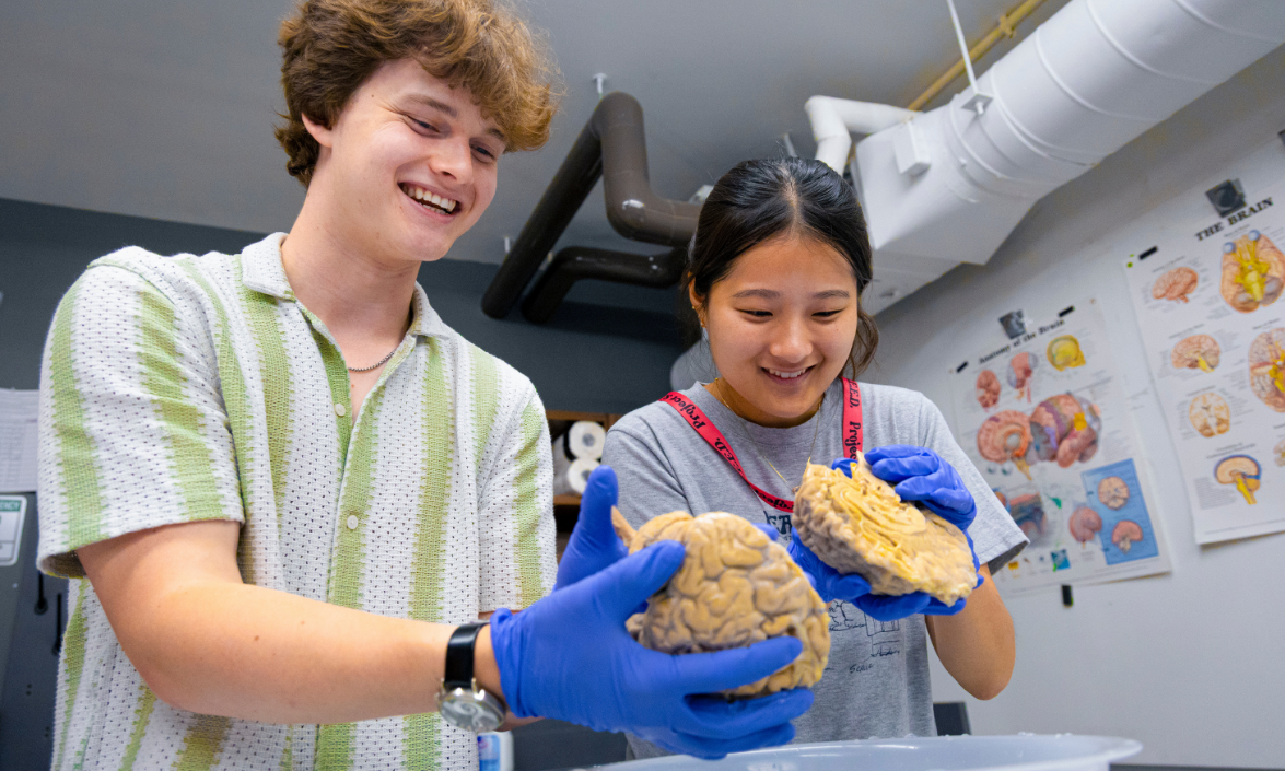 People in a lab working on a brain