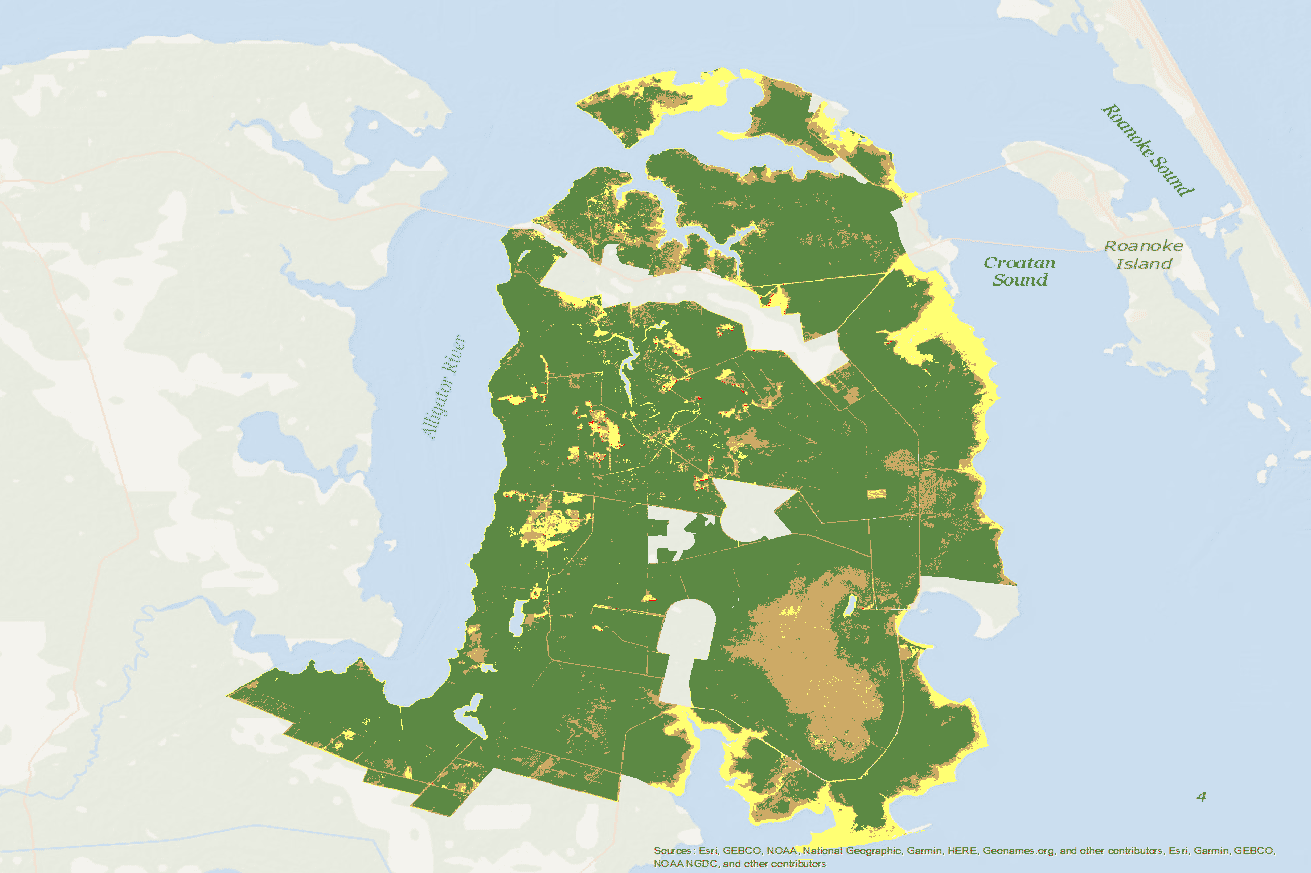 This animation uses satellite images to show changes in tree cover across 245,000 acres in the Albemarle-Pamlico Peninsula over 35 years, from 1985 to 2019. Green areas represent healthy forests. Red areas have a high density of dead trees. NASA/USGS 