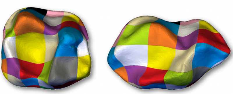 Comparing 3-D surfaces of bones and teeth Comparing 3-D surfaces of bones and teeth
