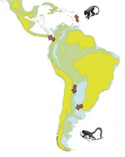 MonkeyMap.jpg