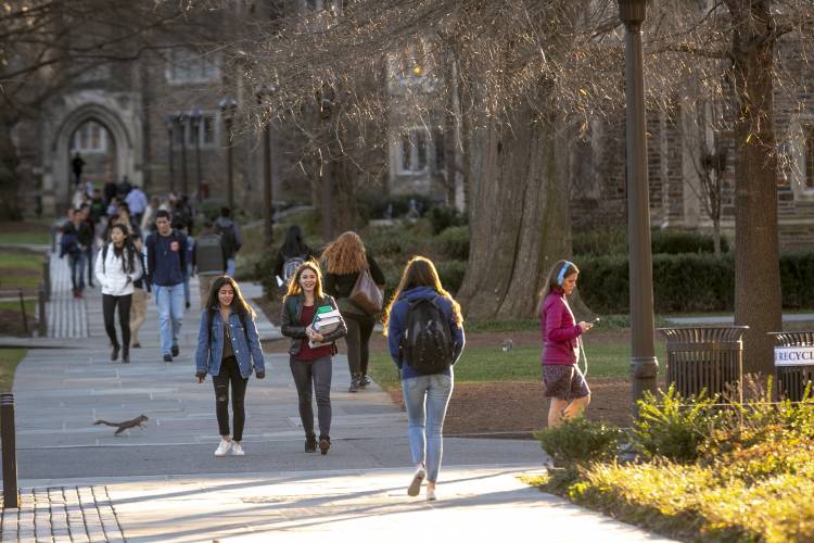 A squirrel dashes out during a class change in 2019.