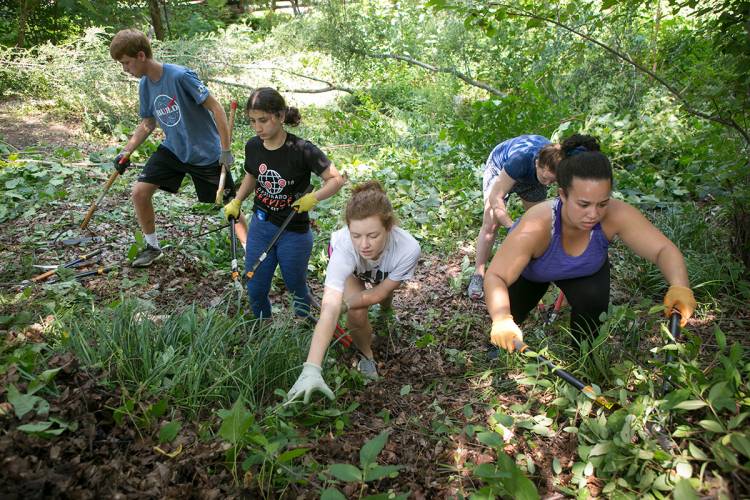 Students also spent an afternoon clearing weeds and trash from Durham's Central Park.