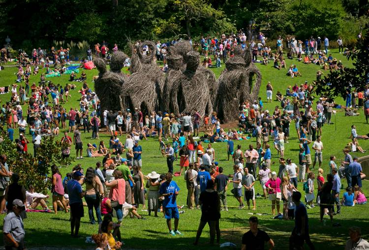 Crowds gather on the south lawn of the  Sarah P. Duke Gardens to watch the eclipse. Photo by Megan Mendenhall