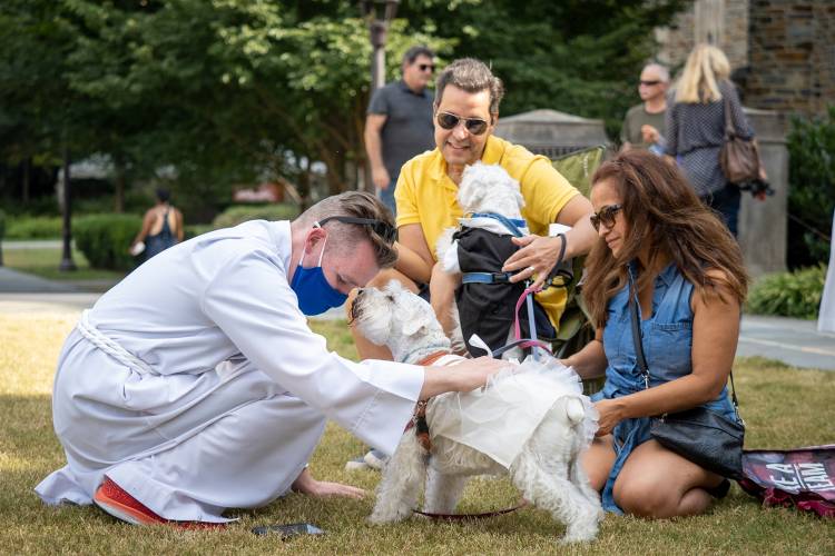 Blessing of the animals, 2021