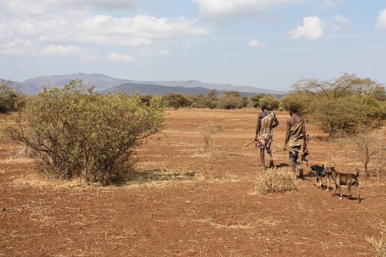The Hadza people of Tanzania walk 4-7 miles and more than two hours each day -- more exercise than many Americans get in a week. Yet they don’t burn more calories. Licensed under CC BY 2.0. Source: Andreas Lederer via Wikimedia Commons