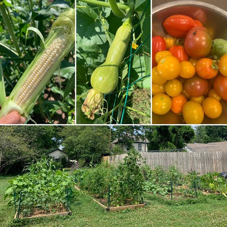 Rebecca Brouwer's garden has been especially productive this summer. Photo courtesy of Rebecca Brouwer.