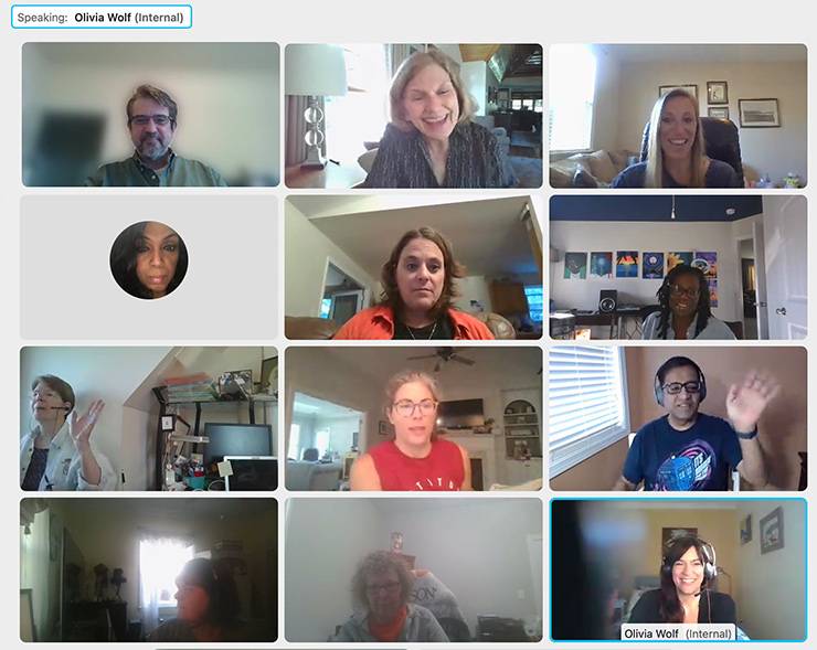 Members of the CEC team on a WebEx.