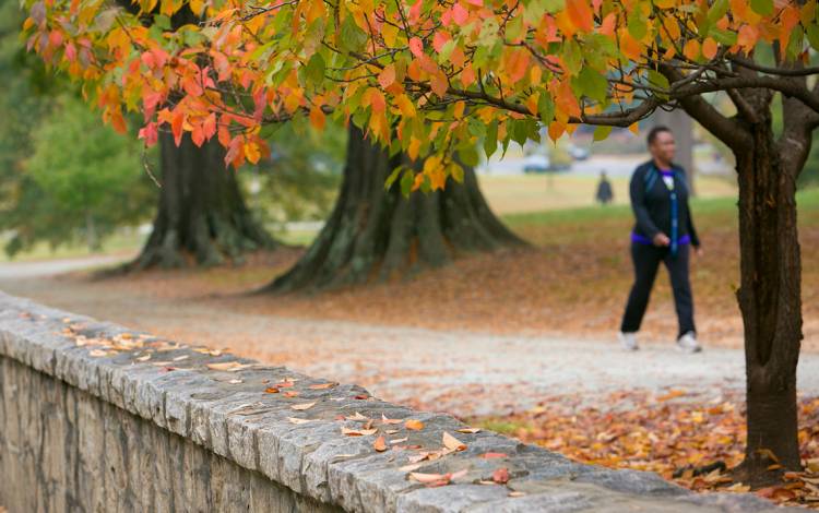 Duke's campus offers plenty of places to enjoy a pleasant lunchtime walk.