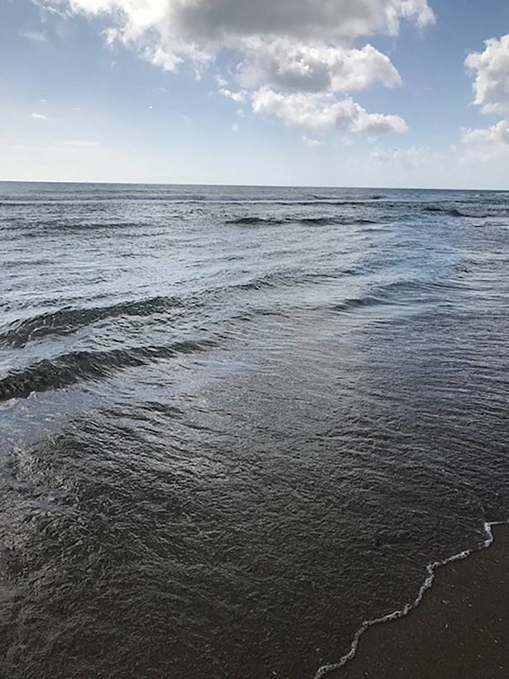Located near Wilmington, Carolina Beach is an easy drive from the Triangle. Photo by Mitzi Scarlett. Located near Wilmington, Carolina Beach is an easy drive from the Triangle. Photo by Mitzi Scarlett.