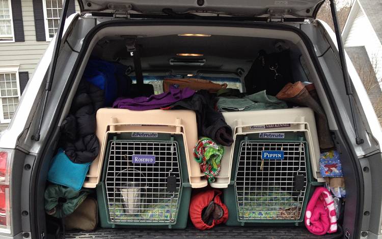 Charley Kneifel recalls fond memories of packing the family car and taking their Cardigan Welsh Corgis, Pippin and Rosebud, to dog shows around the country. Photo courtesy of Charlie Kneifel.