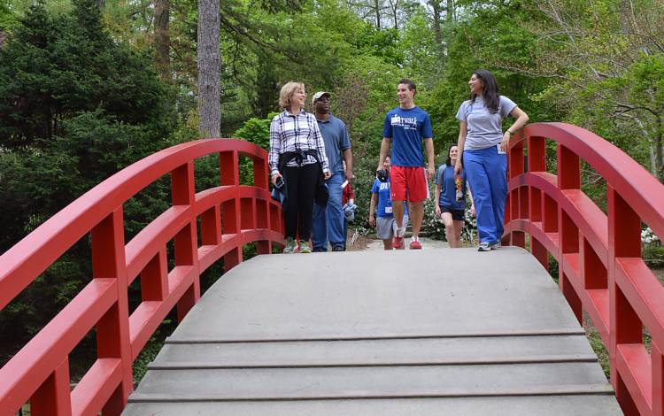 Join Duke Family Medicine Center health care providers on a one-mile walk through Sarah P. Duke Gardens.