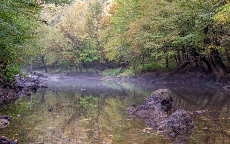 The New Hope Creek runs through Duke Forest. Photo by Randy Bock.