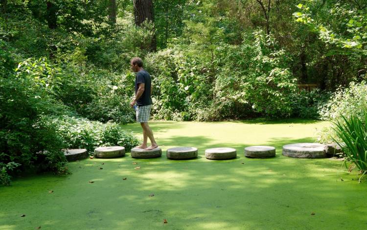 Duke Gardens has many peaceful spots.