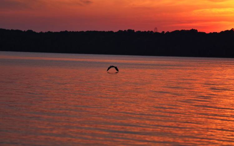 For Joni Harris, Falls Lake provides, among other things, a prime spot to enjoy sunsets. Photo by Joni Harris.