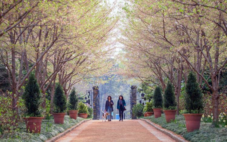 Springtime flowers on campus.