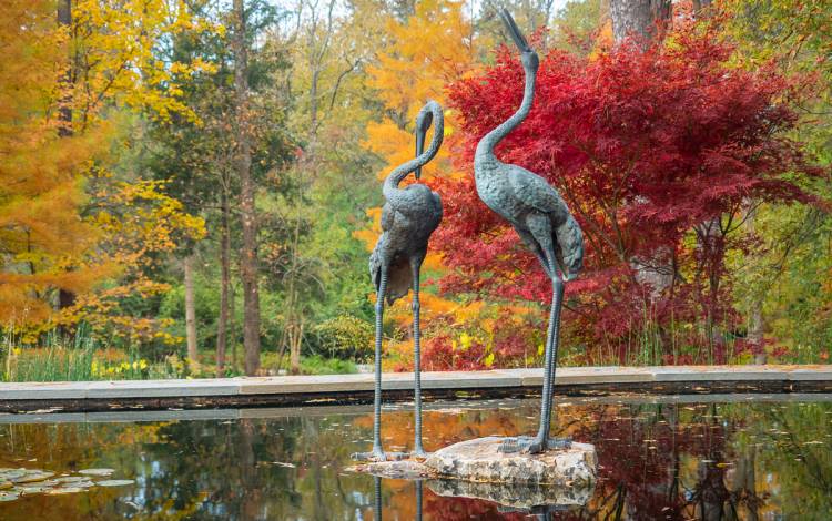 Duke Gardens in the fall.