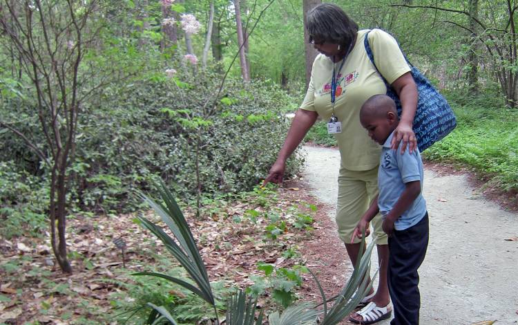 Families walking in the gardens.