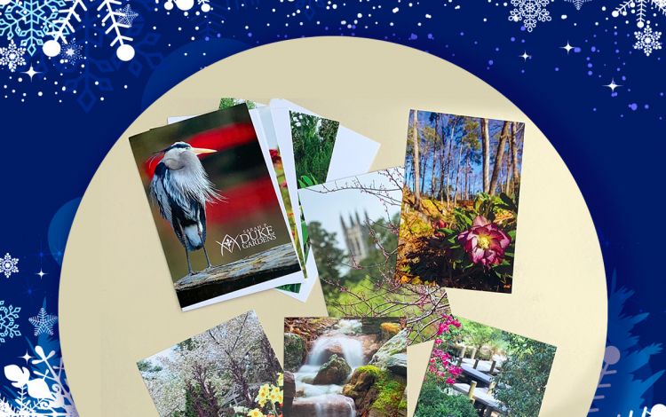 Enjoy the beauty of nature with this notebook from Duke Gardens. Images courtesy of Duke Gardens.
