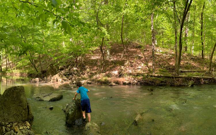 Margo Ginsberg's son plays in New Hope Creek in Duke Forest. Photo courtesy of Margo Ginsberg.