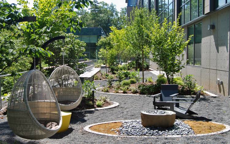 The Murphy-Nimocks Meditation Garden is a welcome addition to the Student Wellness Center.