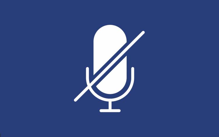 Stay muted during virtual meetings until you need to speak. 