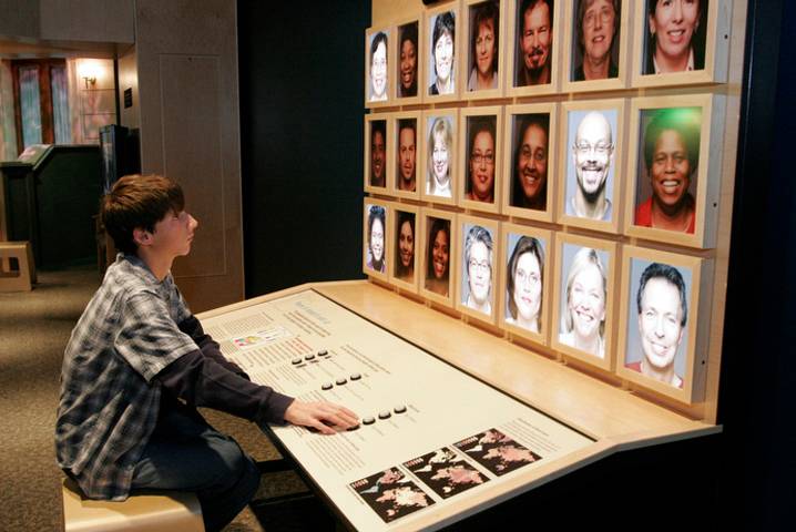 A visitor explores the exhibit on race at the NC Museum of Natural Sciences.