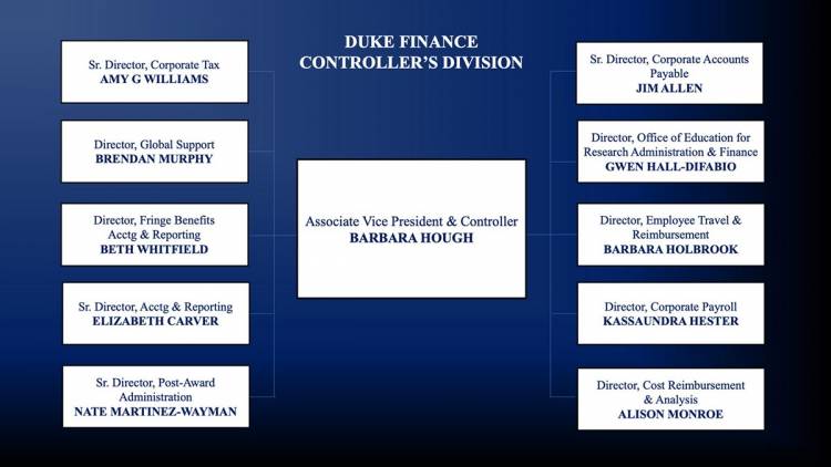 AVP Finance Organizational Chart