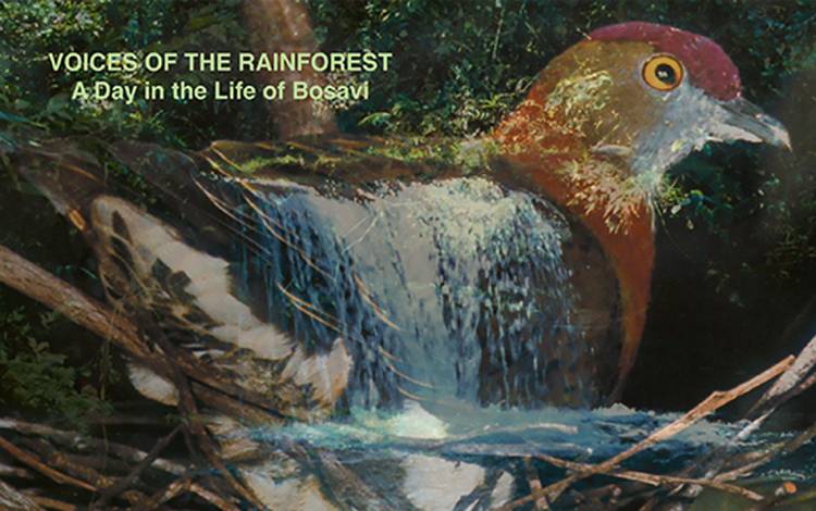 Steven Feld: Voices of the Rainforest 