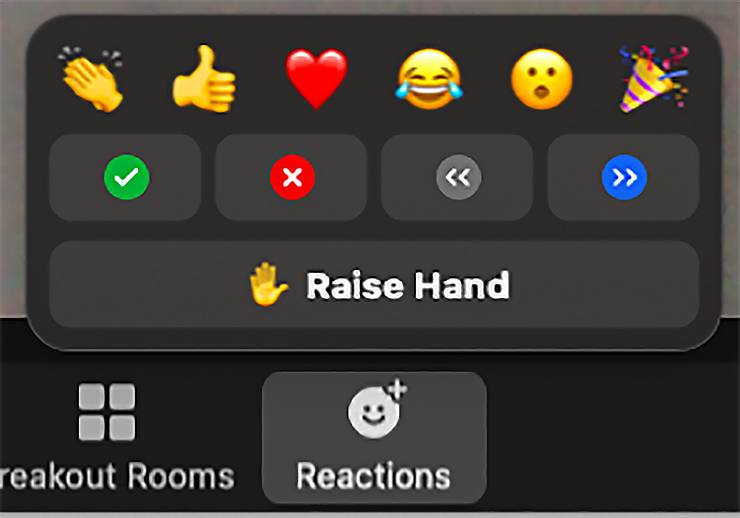 The emoji reactions available through Zoom can help you get your message across easily.