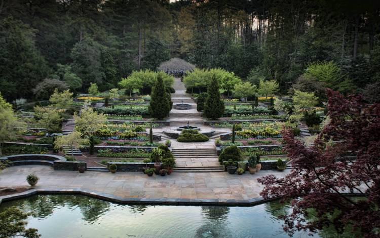 The terraces of the Sarah P. Duke Gardens are a popular spot for weddings and photo shoots. Photo by Rick Fisher.