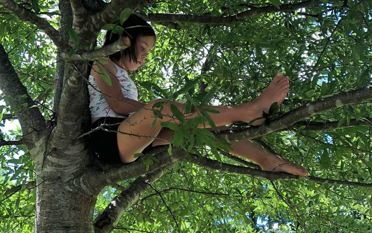 Janelle Burner's daughter, Sophia, enjoys reading while perched in a tree at Stone Mountain State Park. Photo by Janelle Burner. Janelle Burner's daughter, Sophia, enjoys reading while perched in a tree at Stone Mountain State Park. Photo by Janelle Burner.