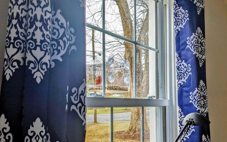 The visitors to Tracy Henderson Bethel's bird feeder brighten her day. Photo courtesy of Tracy Henderson Bethel.