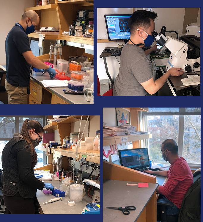 Four people in a lab.