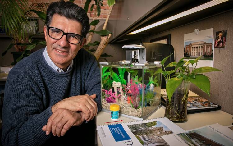 Duke Facilities Management Project Manager Alphonso Alonzo, left, uses the water from his fish tank to keep his office plants fed. Photo by Chris Hildreth.