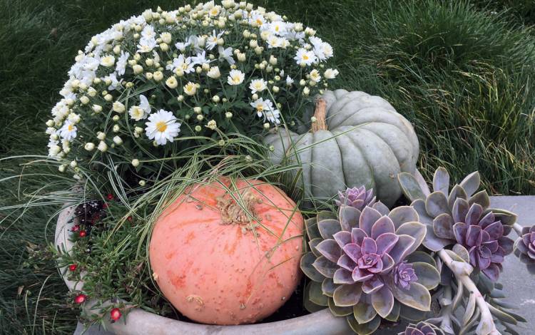 Harvest Festival