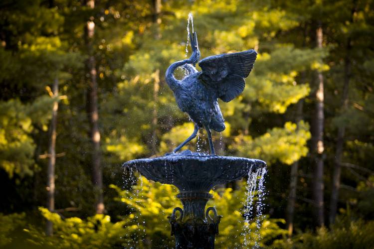 Visitors to Duke Gardens are greeted but the Roney Fountain. In 2011, it was installed in the center of the Mary Duke Biddle Rose Garden. The fountain initially served as a focal point at the entrance to Trinity College, now Duke's East Campus.