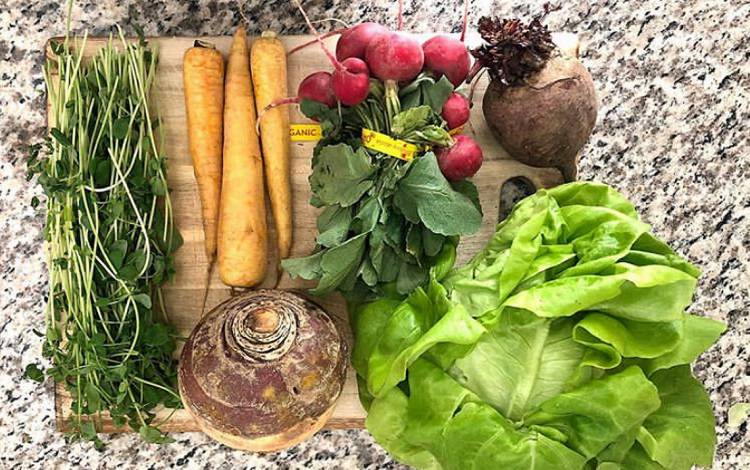 Save your leftover vegetable scraps to make vegetable stock. Photo by Jonathan Black.