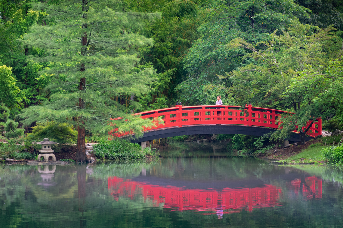 The Meyer Bridge in the Asiatic Arboretum.