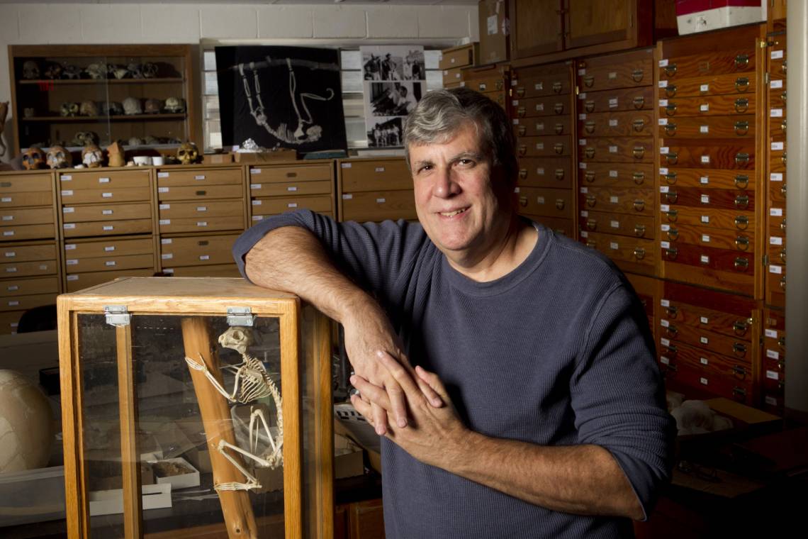 Dr. Gregg F. Gunnell, Director, Division of Fossil Primates, Duke Lemur Center. Photo taken in 2011 by Duke University Photography.