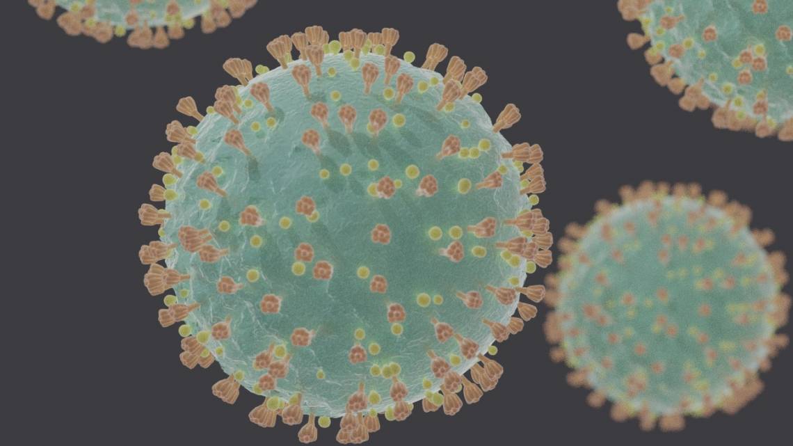 SARS-CoV-2, the coronavirus that causes COVID-19, appears to have evolved silent changes to its RNA code that gave it a biological edge over previous strains. Credit: Felipe Esquivel Reed