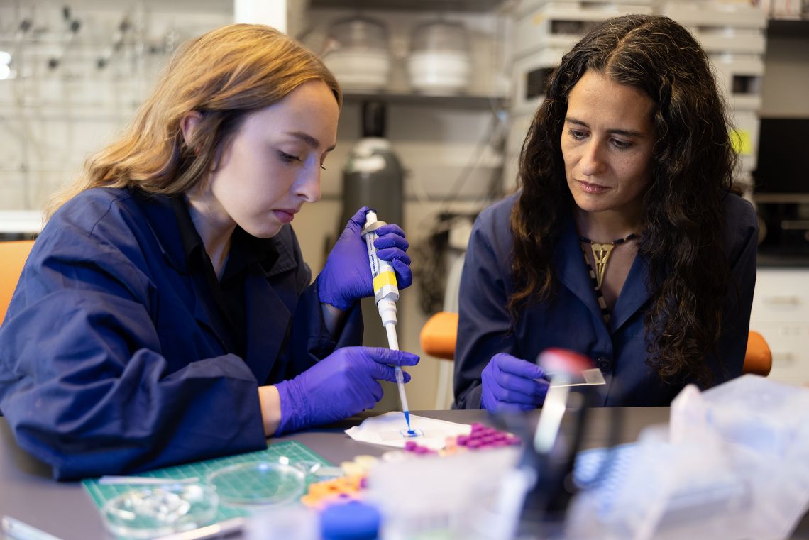 DST will improve resources for researchers and students
