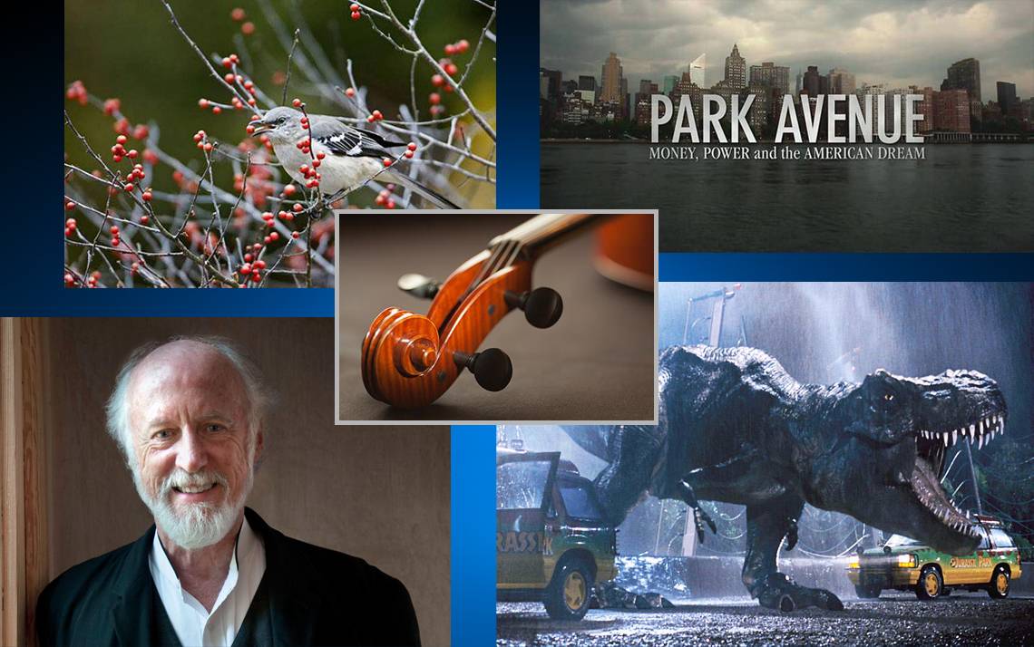 Collage of photos of a bird, the New York skyline, a violin, a dinosaur and author Allan Gurganus.