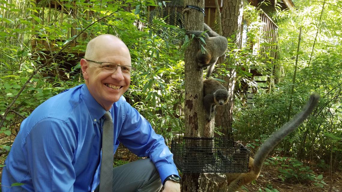 Greg Dye will take over as director of the Duke Lemur Center, the world’s largest and most diverse collection of lemurs outside their native Madagascar. He will succeed biology professor Anne Yoder, who led the center for 12 years. 