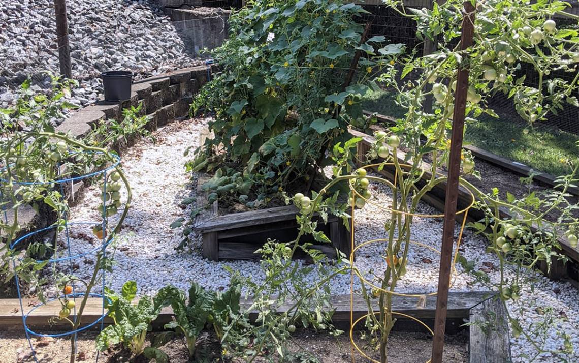 The garden at Kelly Deal's home provides her with plenty of vegetables and hours of mind-clearing work. Photo courtesy of Kelly Deal.