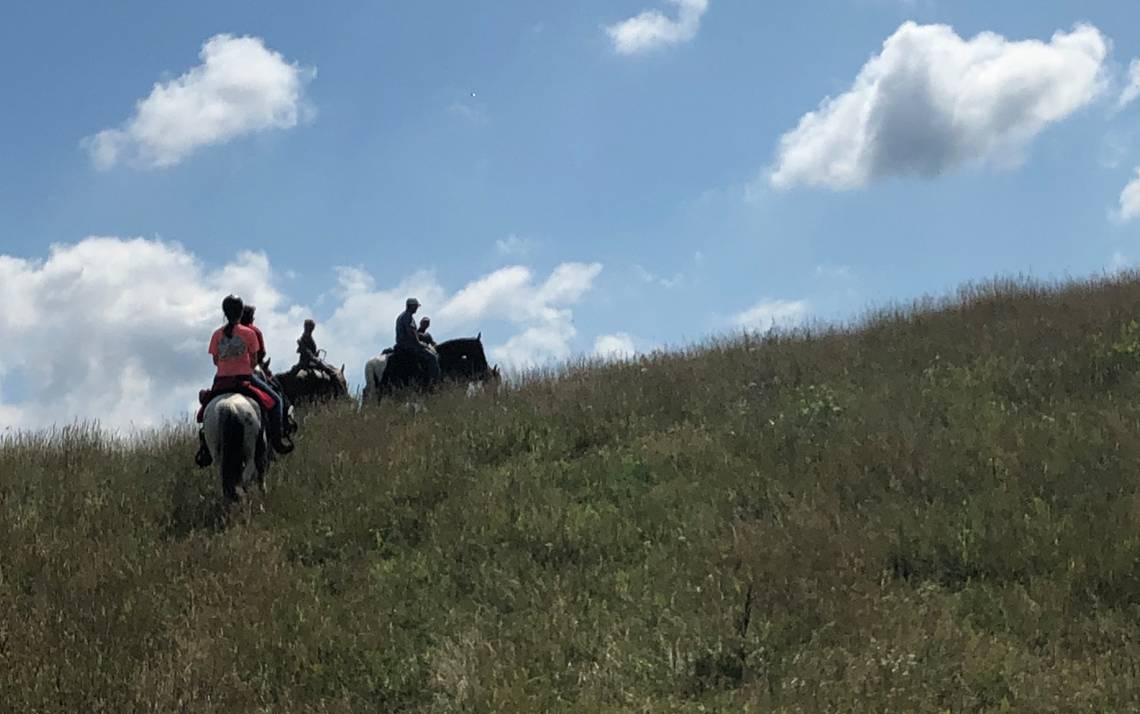 Two people riding horses up a grassy hill.