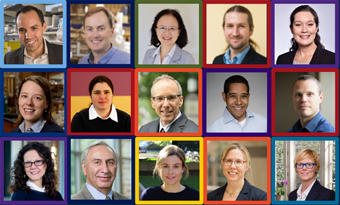 Team: Luis Campos, Stephen Craig, Jian Ping Gong, Jeremiah Johnson, Julia Kalow, Rebekka Klausen, Heather Kulik, Jeffrey Moore, Alshakim Nelson, Bradley Olsen, Monica Olvera de la Cruz, Michael Rubinstein, Corinna Schindler, Nancy Sottos, Nicole Steinmetz