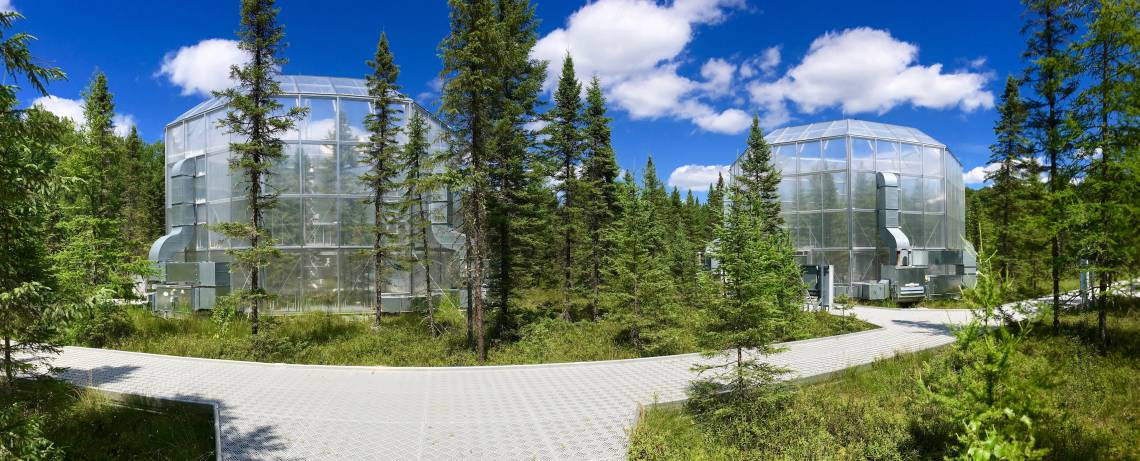 A research project funded by the U.S. Department of Energy uses climate controlled chambers to study the impact of global warming on peat mosses and the microbes they interact with. Credit: DOE/Oak Ridge National Laboratory.